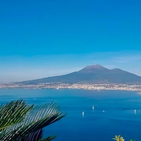 Casola di Napoli La Vigna Del Vento Bed & Breakfast エクステリア 写真