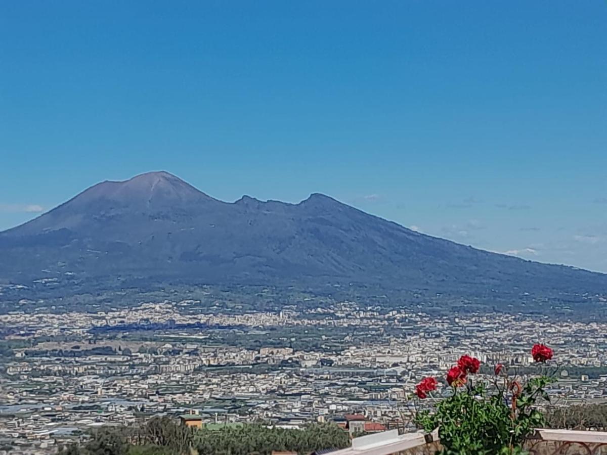Casola di Napoli La Vigna Del Vento Bed & Breakfast エクステリア 写真