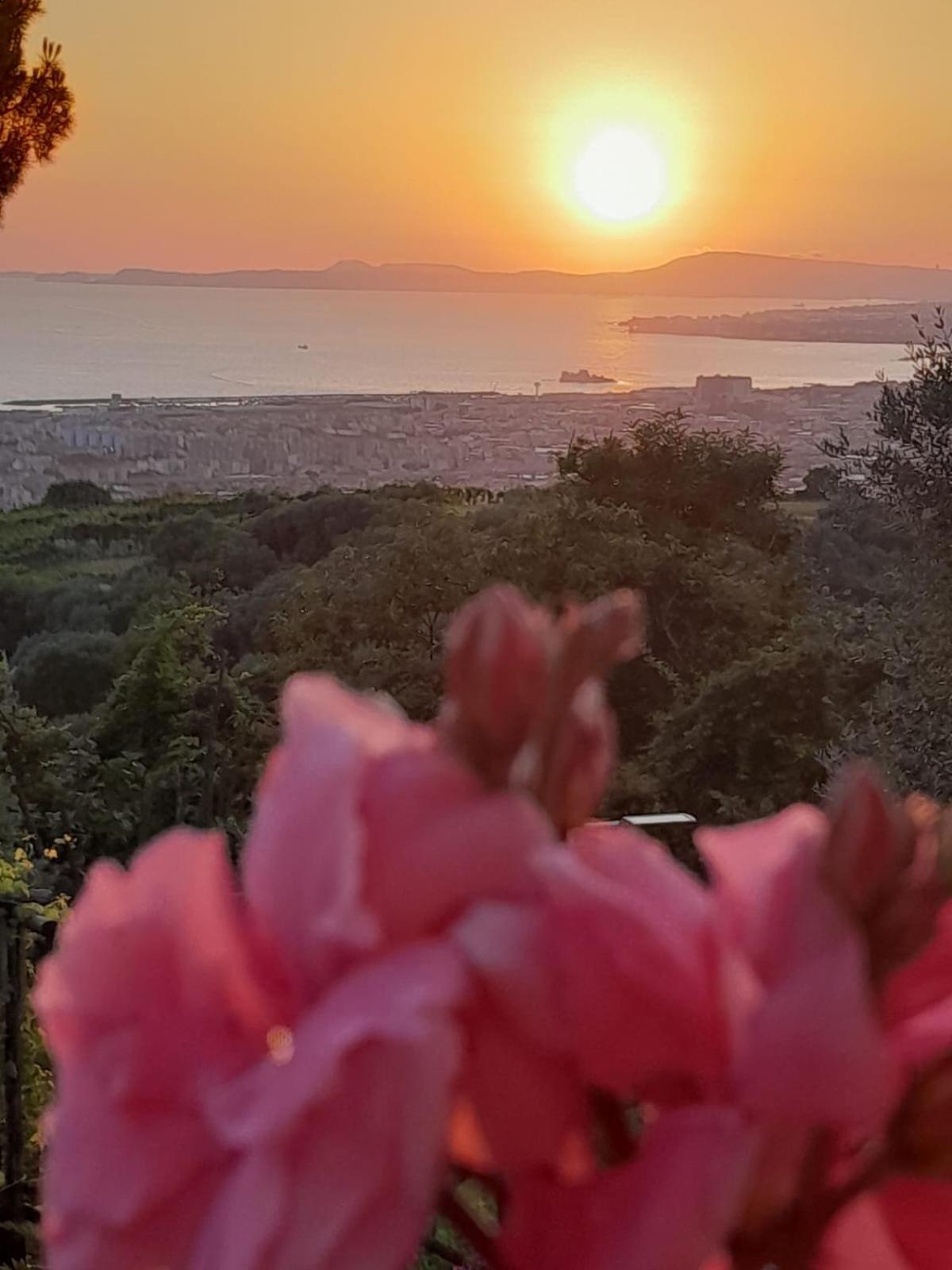 Casola di Napoli La Vigna Del Vento Bed & Breakfast エクステリア 写真