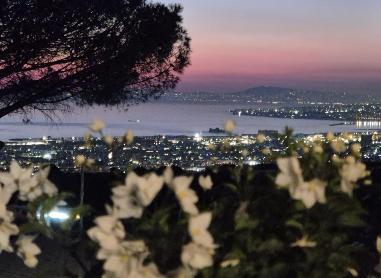 Casola di Napoli La Vigna Del Vento Bed & Breakfast エクステリア 写真