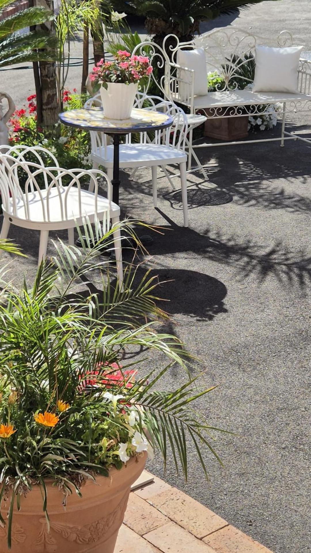 Casola di Napoli La Vigna Del Vento Bed & Breakfast エクステリア 写真