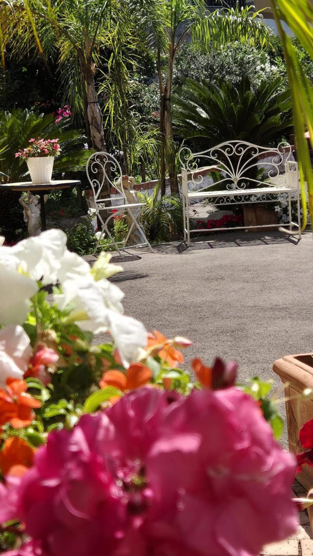 Casola di Napoli La Vigna Del Vento Bed & Breakfast エクステリア 写真