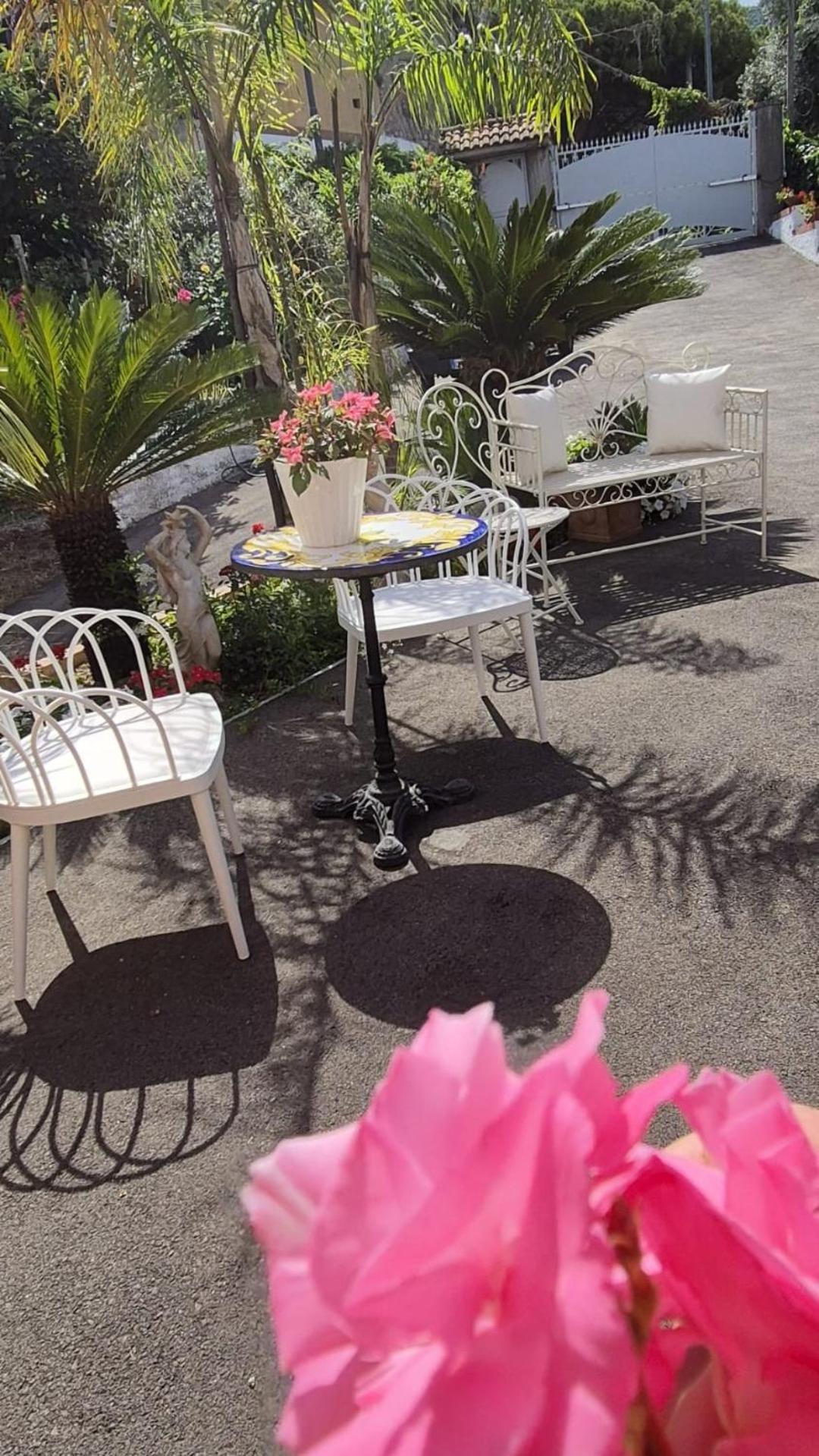 Casola di Napoli La Vigna Del Vento Bed & Breakfast エクステリア 写真