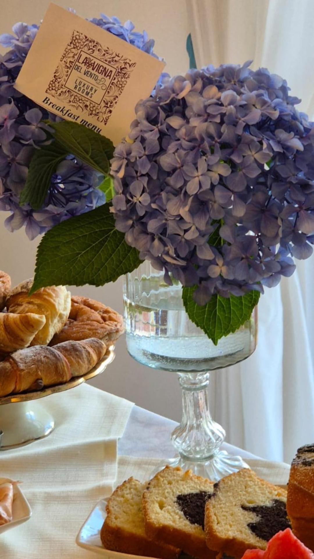 Casola di Napoli La Vigna Del Vento Bed & Breakfast エクステリア 写真