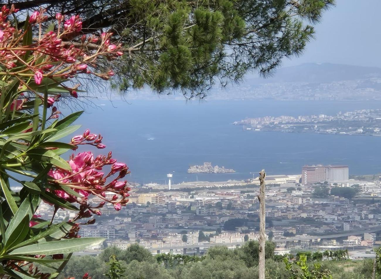 Casola di Napoli La Vigna Del Vento Bed & Breakfast エクステリア 写真